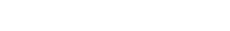 DIGIWIZ Logo